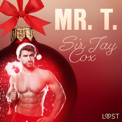 23. december: Mr. T. - en erotisk julekalender – omslag til lydbogen af Sir Jay Cox