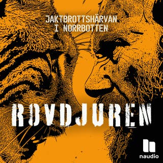 Det stora tillslaget – omslag till ljudboken av Johanna Gafvelin,Jon Jordås,Jonatan Loxdal,Naudio