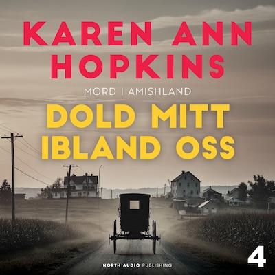 Dold mitt ibland oss – omslag till ljudboken av Karen Ann Hopkins
