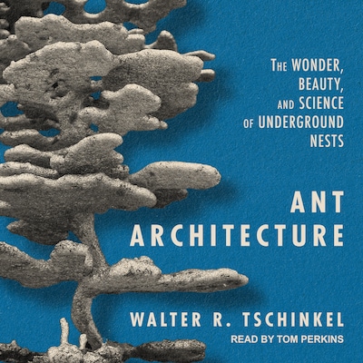 Ant Architecture – omslag til lydbogen af Walter R. Tschinkel
