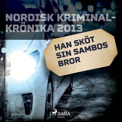 Han sköt sin sambos bror