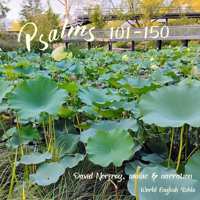 Psalms (101 - 150) – omslag til lydbogen af World English Bible