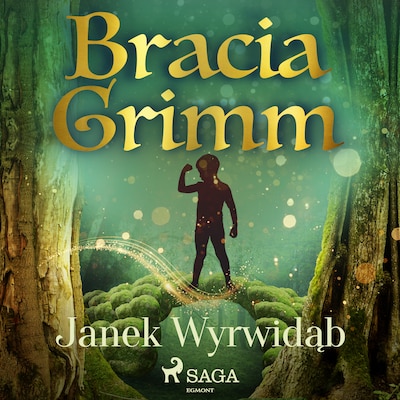 Janek Wyrwidąb – okładka audiobooka, autor Bracia Grimm