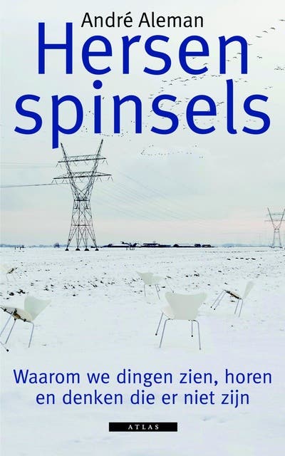 Hersenspinsels: waarom we dingen zien, horen en denken die er niet zijn – omslag van het luisterboek van Andre Aleman