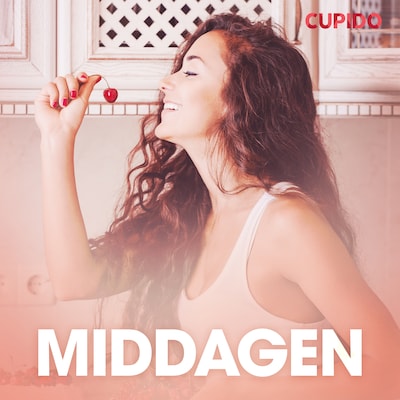 Middagen – erotiske noveller – omslag til lydbogen af Cupido