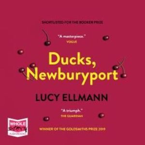 Ducks, Newburyport – okładka audiobooka, autor Lucy Ellmann