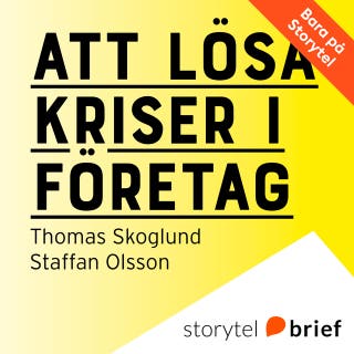 Att lösa kriser i företag