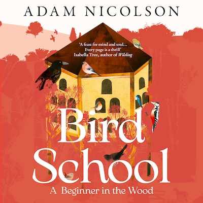 Bird School – omslag til lydbogen af Adam Nicolson