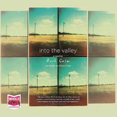Into the Valley – omslag til lydbogen af Ruth Galm