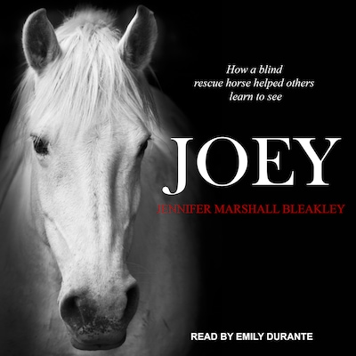 Joey – omslag til lydbogen af Jennifer Marshall Bleakley
