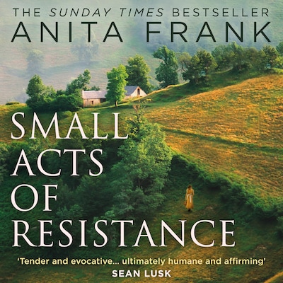 Small Acts of Resistance – omslag til lydbogen af Anita Frank