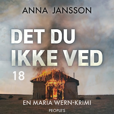 Det du ikke ved – omslag til lydbogen af Anna Jansson