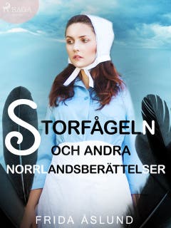 Storfågeln och andra Norrlandsberättelser – omslag till ljudboken av Frida Åslund