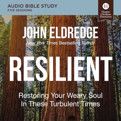 Resilient Bible Study: Audio