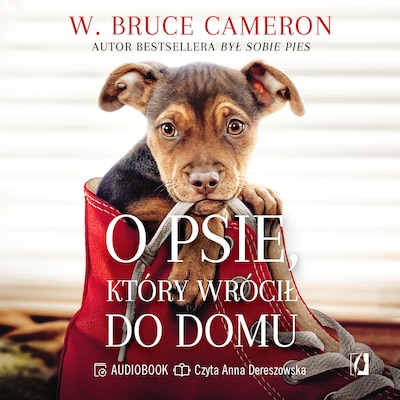 O psie, który wrócił do domu