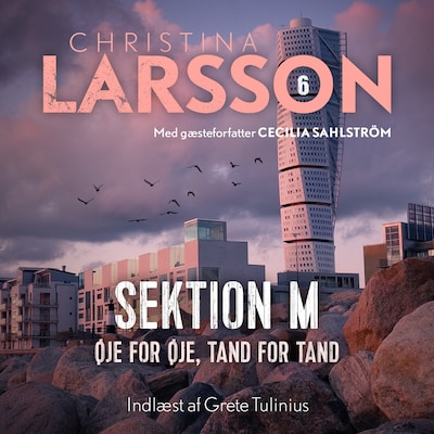 Sektion M - 6 – omslag til lydbogen af Christina Larsson, Cecilia Sahlström