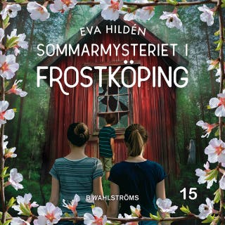 Sommarmysteriet i Frostköping 15