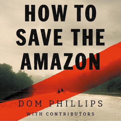 How to Save the Amazon