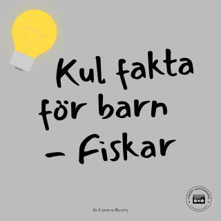 Kul fakta för barn: Fiskar
