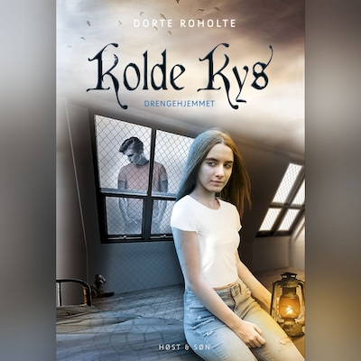 Drengehjemmet - Kolde Kys – omslag til lydbogen af Dorte Roholte