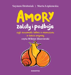 Amory zaloty i podboje – okładka audiobooka, autor Szymon Drobniak
