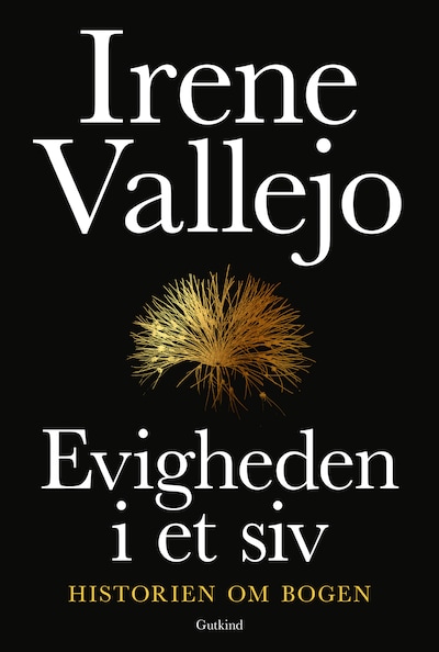 Evigheden i et siv – omslag til lydbogen af Irene Vallejo
