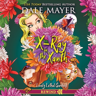 X-Ray in the Xanth – omslag til lydbogen af Dale Mayer