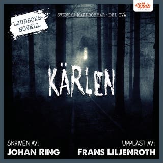 Kärlen : en nattlägesnovell