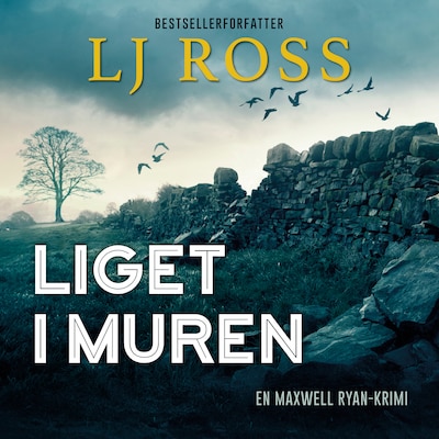 Liget i muren – omslag til lydbogen af LJ Ross