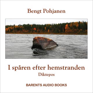 I spåren efter hemstranden