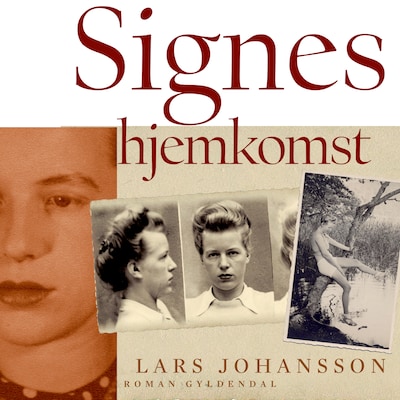 Signes hjemkomst – omslag til lydbogen af Lars Johansson