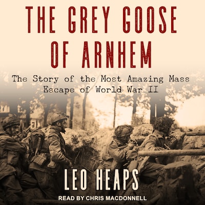 The Grey Goose of Arnhem – omslag til lydbogen af Leo Heaps