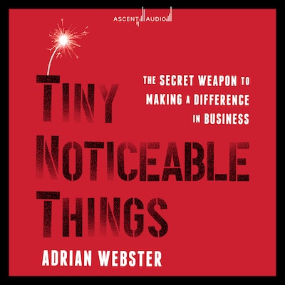 Tiny Noticeable Things – omslag til lydbogen af Adrian Webster