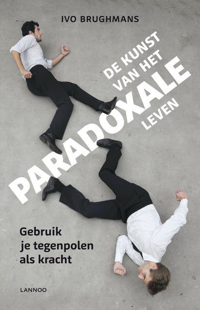 De kunst van het paradoxale leven – omslag van het luisterboek van Ivo Brughmans