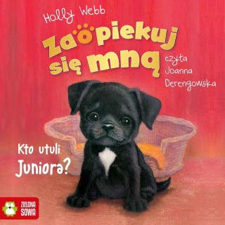 Zaopiekuj się mną. Kto utuli Juniora? – okładka audiobooka, autor Holly Webb