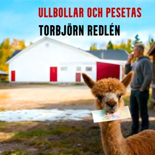 Ullbollar och Pesetas