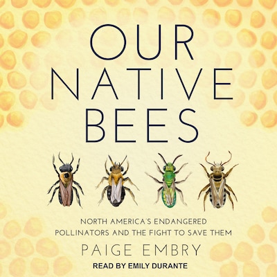 Our Native Bees – omslag til lydbogen af Paige Embry