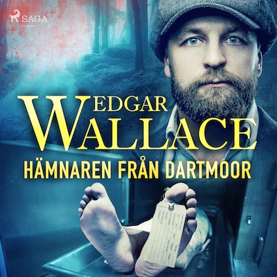 Hämnaren från Dartmoor
