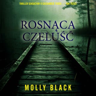 Rosnąca czeluść (Thriller sensacyjny o Cassandrze Fierce — Tom trzeci) – okładka audiobooka, autor Molly Black