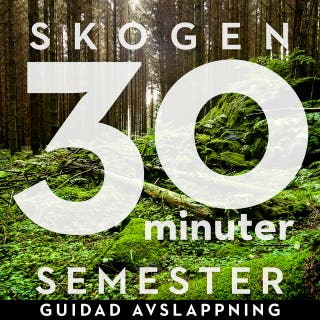 30 minuter semester - SKOGEN