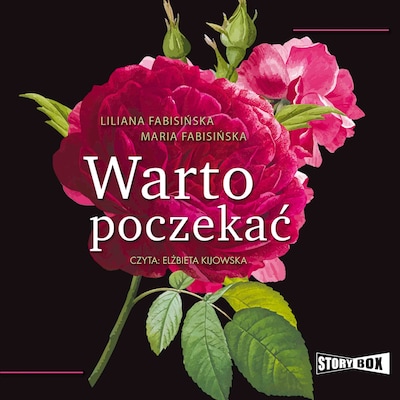 Warto poczekać – okładka audiobooka, autor Liliana Fabisińska