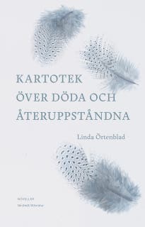 Kartotek över döda och återuppståndna – omslag till ljudboken av Linda Örtenblad
