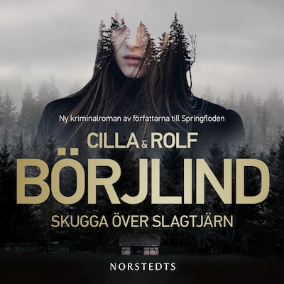 Skugga över Slagtjärn