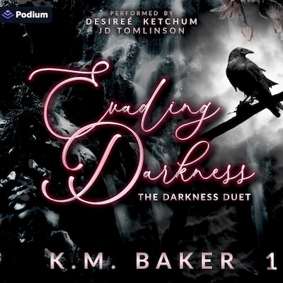 Evading Darkness – omslag til lydbogen af K.M. Baker