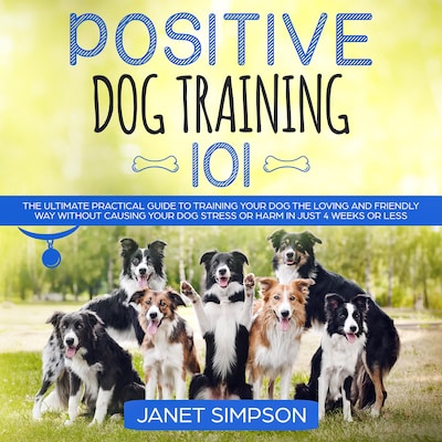 Positive Dog Training 101: The Practical Guide to Training Your Dog the Loving and Friendly Way Without Causing your Dog Stress or Harm Using Positive Reinforcement