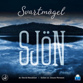 Sjön – Svartmögel