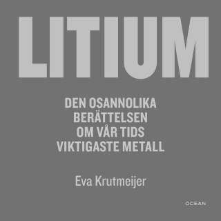 Litium : Den osannolika berättelsen om vår tids viktigaste metall