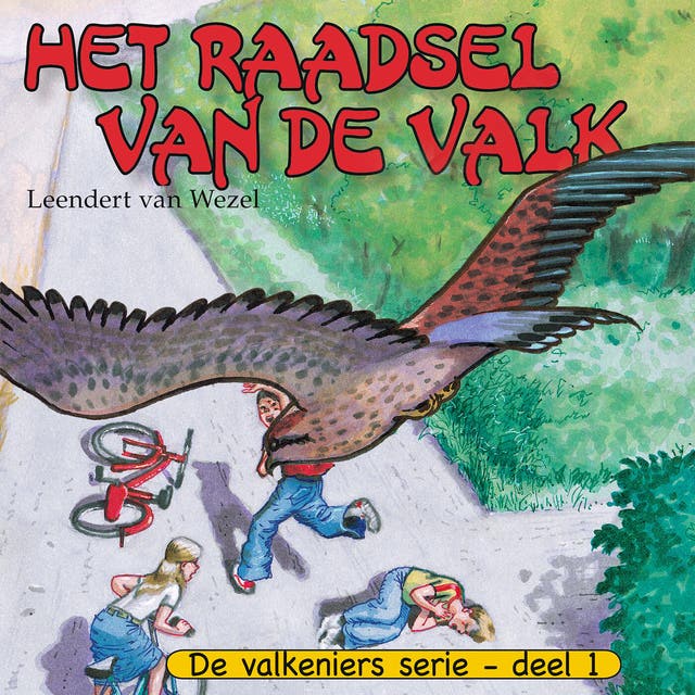 Het raadsel van de valk – omslag van het luisterboek van Leendert van Wezel