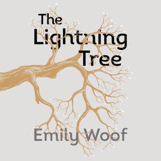 The Lightning Tree (Unabridged) – omslag till ljudboken av Emily Woof