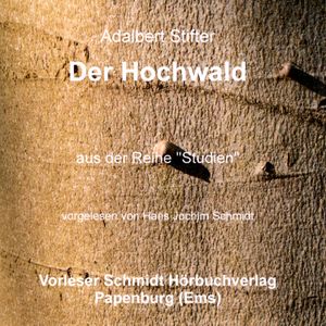 Der Hochwald – okładka audiobooka, autor Adalbert Stifter
